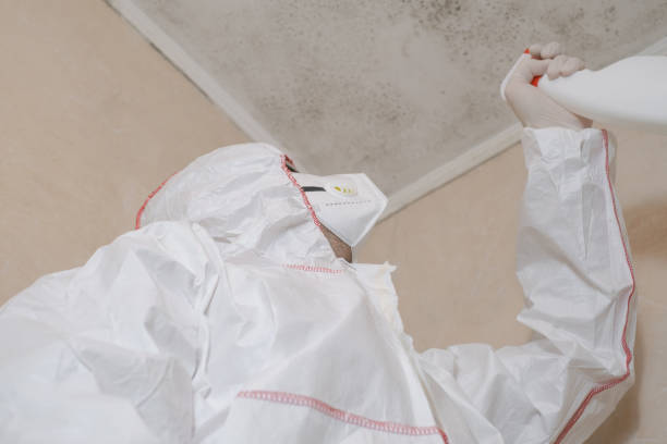 Best Mold Remediation for Specific Building Types in Raleigh Hills, OR